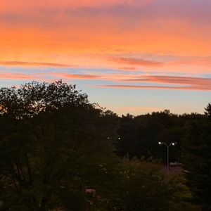 Meet your Posher, Ivy